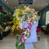 Kệ hoa lan vàng hồng cam phối lan tím hồng
